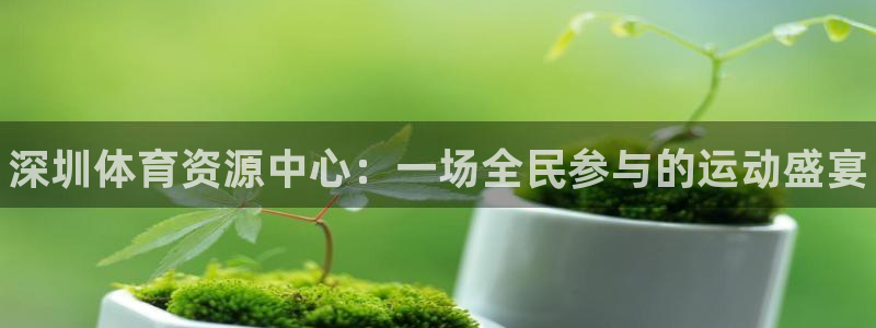中欧体育最新地址：深圳体育资源中心：一场全民参与的运动盛宴